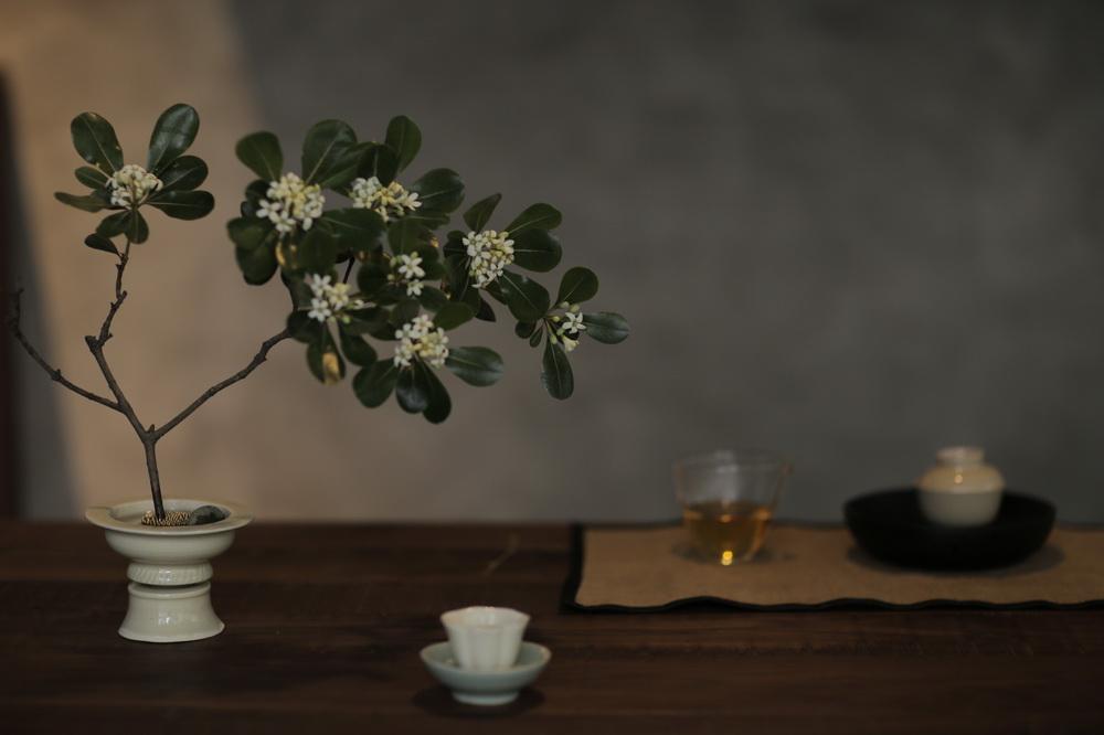 在成都城中安放一片山林，是以不知春齋茶宿/ 時(shí)地建筑