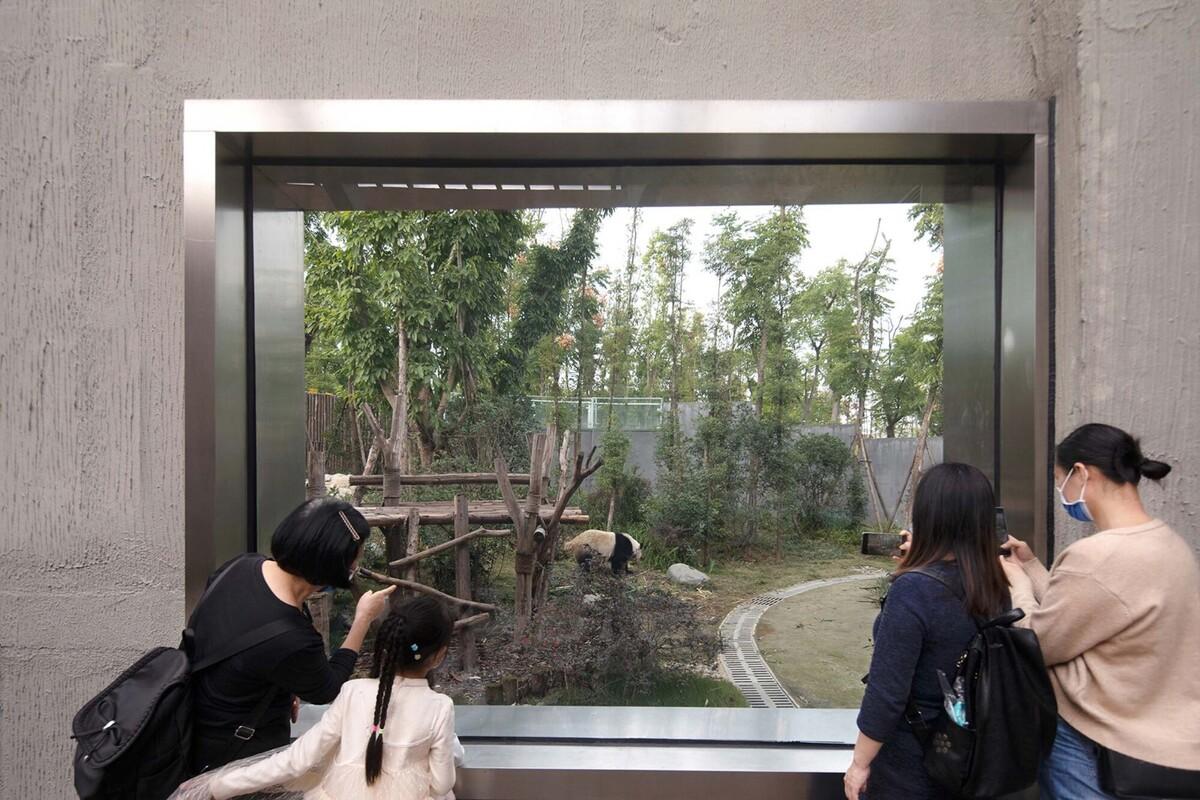 成都熊貓新舍: 溪谷林壑間的自然棲居 / EID Arch姜平工作室